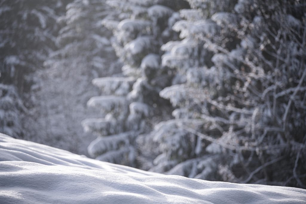 Snow, nature, winter — How to Play Winbox Games While Traveling
