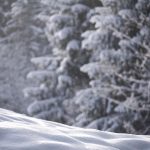 Snow, nature, winter — How to Play Winbox Games While Traveling