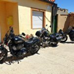 Indian Chief Dark Horse